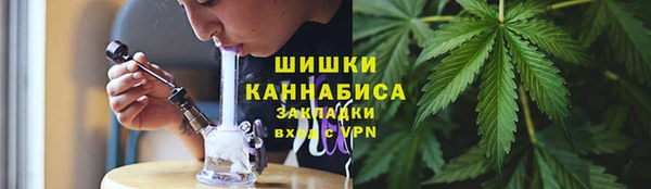 PSILOCYBIN Горнозаводск